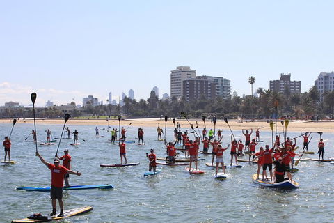 Stand Up Paddle Boarding Hire - Hotel VIC 5