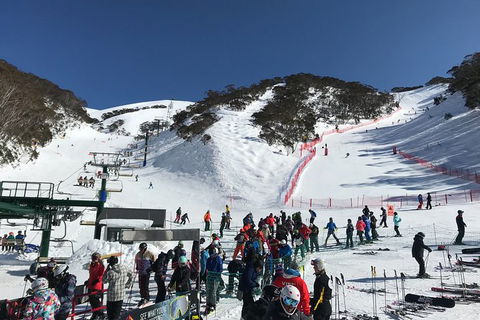 Alpine Ultimate Snow Trip - Hotel VIC 4