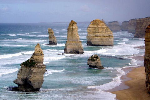 LGBT+ Friendly 2 Day Private Tour Great Ocean Road + Phillip Island - Hotel VIC 0