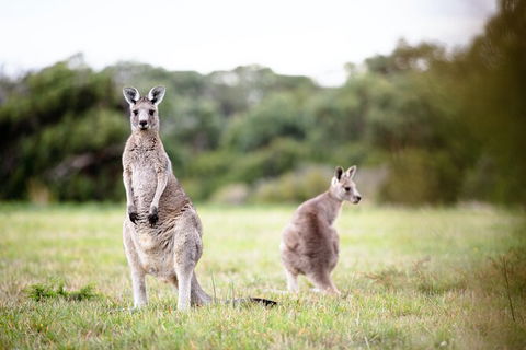 LGBT+ Friendly 3 Day Tour The Grampians, Daylesford & Ballarat - Hotel VIC 2