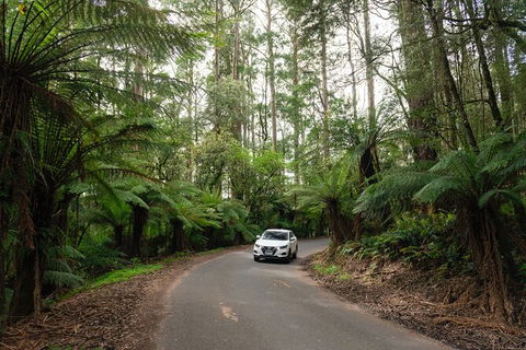 LGBT+ Friendly 3 Day Tour The Grampians, Daylesford & Ballarat - Hotel VIC 1