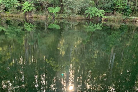 Hiking Tour To Aqueduct And Warburton Valley Lookout - Hotel VIC 2