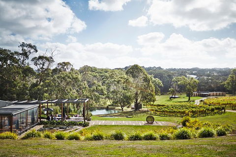 Mornington Peninsula 2-6 Guests Lunch Rare Hare Or Merricks General Wine Store - Hotel VIC 3