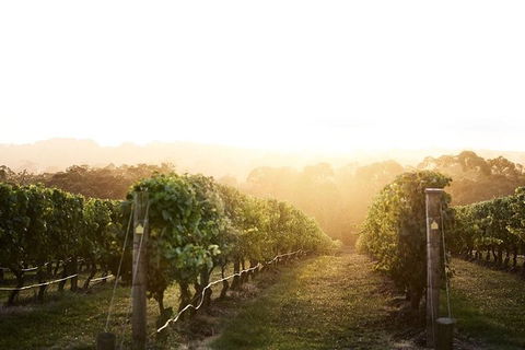 Mornington Peninsula 2-6 Guests Lunch Rare Hare Or Merricks General Wine Store - Hotel VIC 2