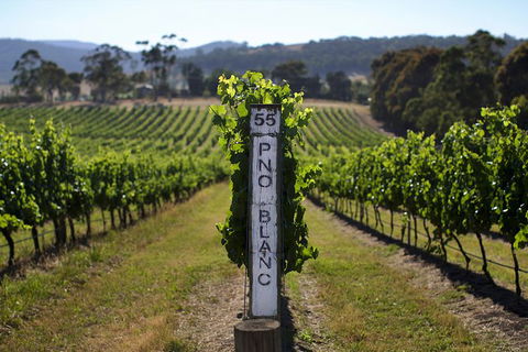 Mornington Peninsula 2-6 Guests Lunch Rare Hare Or Merricks General Wine Store - Hotel VIC 5