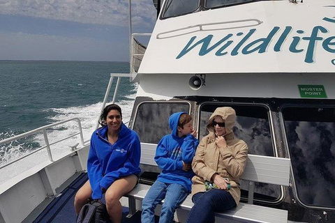 Phillip Island Penguin And Wildlife Tour - Hotel VIC 15