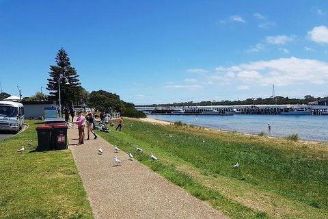 Phillip Island Penguin And Wildlife Tour - Hotel VIC 25