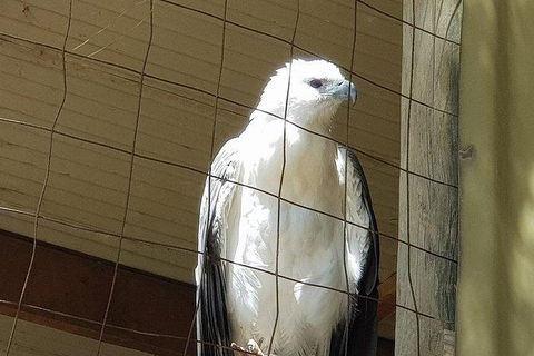 Phillip Island Penguin And Wildlife Tour - Hotel VIC 21
