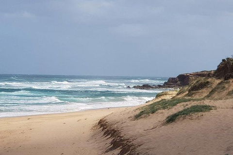 Phillip Island Penguin And Wildlife Tour - Hotel VIC 10