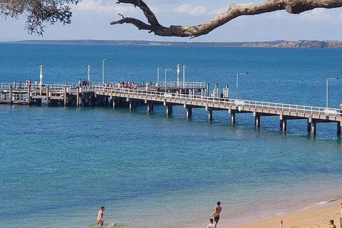 Phillip Island Penguin And Wildlife Tour - Hotel VIC 2