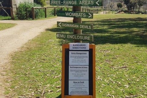 Phillip Island Penguin And Wildlife Tour - Hotel VIC 4