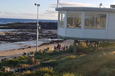 Phillip Island Penguin And Wildlife Tour - Hotel VIC 33