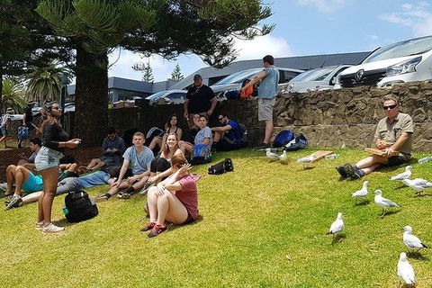Phillip Island Penguin And Wildlife Tour - Hotel VIC 22