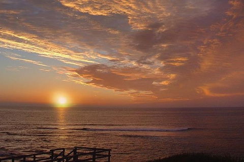 Half Day Wine & Food Tour - Hotel VIC 1