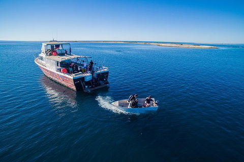 Abrolhos Islands 4 Day Fishing Charter - Hotel VIC 0