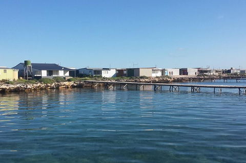 Abrolhos Islands 4 Day Fishing Charter - Hotel VIC 9