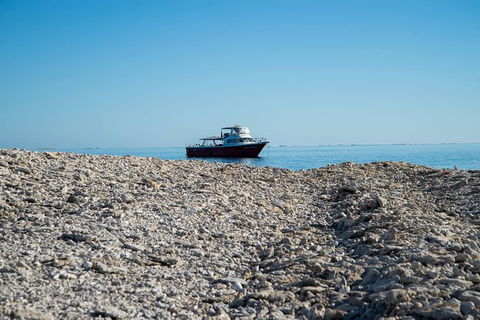 Abrolhos Islands 4 Day Fishing Charter - Hotel VIC 1