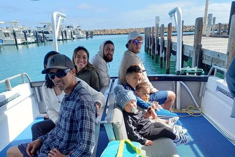 Whale Watching Boat Tour In Geraldton - Hotel VIC 1