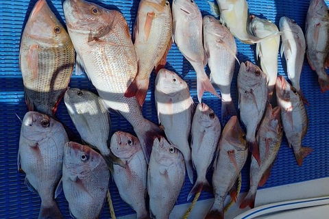 Geraldton Fishing Charter - Hotel VIC 7
