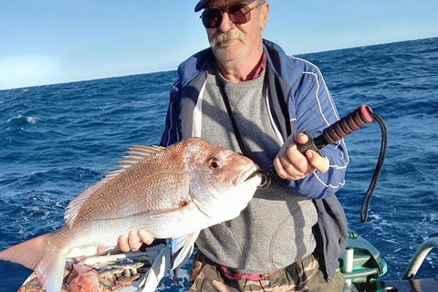 Geraldton Fishing Charter - Hotel VIC 8