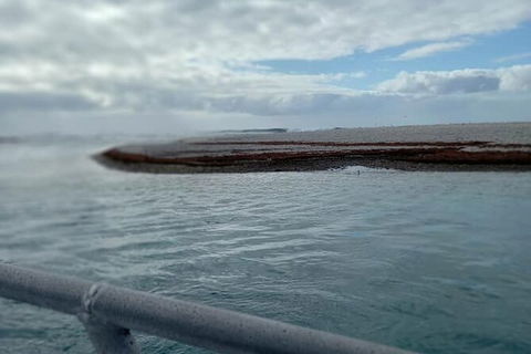 Abrolhos Islands Fishing Charter - Hotel VIC 6