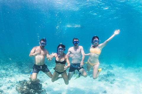 Full-Day Whale Sharks Swimming Experience On Ningaloo Reef - Hotel VIC 5