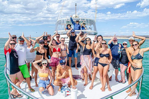 Full-Day Whale Sharks Swimming Experience On Ningaloo Reef - Hotel VIC 1