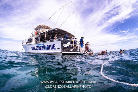 Full-Day Whale Sharks Swimming Experience On Ningaloo Reef - Hotel VIC 13