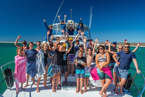 Full-Day Whale Sharks Swimming Experience On Ningaloo Reef - Hotel VIC 15