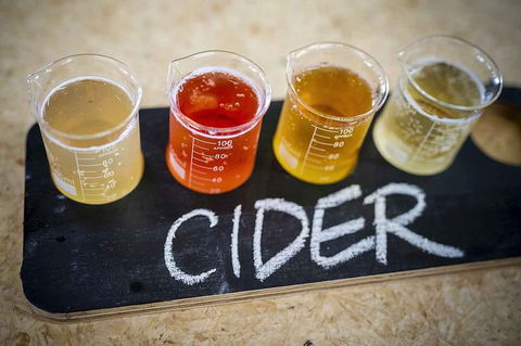 Bickley Valley Wine & Cider Tour - Premium Small Group Tour - Hotel VIC 1