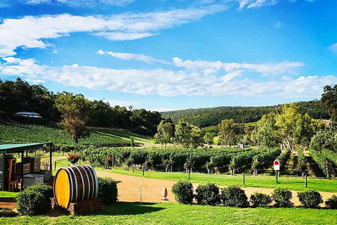 Bickley Valley Wine & Cider Tour - Premium Small Group Tour - Hotel VIC 0