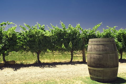 Pinnacles Desert Private Tour - Hotel VIC 4