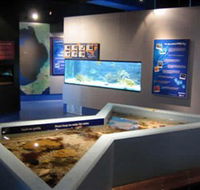 Marine and Freshwater Discovery Centre - Hotel VIC