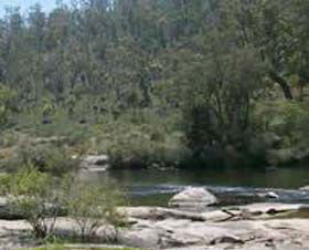 Wellington Discovery Forest - Hotel VIC 0