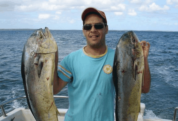 Jervis Bay Fishing and Charters - Hotel VIC