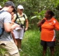 Ingan Tours - Spirit of the Rainforest Tour - Hotel VIC