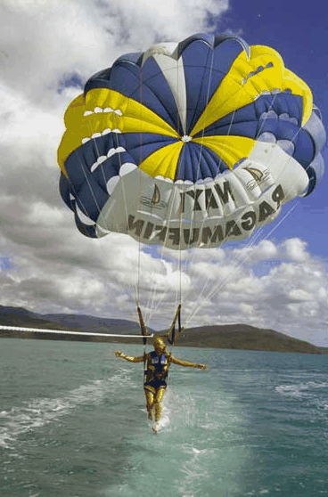 Island Parasail - Hotel VIC 2
