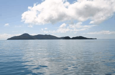 Whitehaven Xpress Whitehaven Beach Tours - Hotel VIC 2