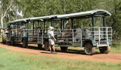Whitsunday Crocodile Safari - Hotel VIC 2