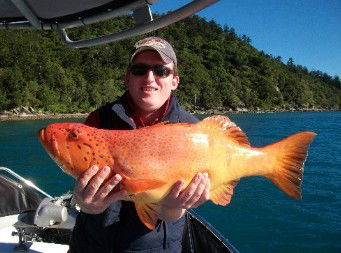 Gone Fishing By Coral Sea Fishing Charters Airlie Beach - Hotel VIC 0