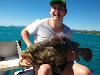 Gone Fishing By Coral Sea Fishing Charters Airlie Beach - Hotel VIC 4