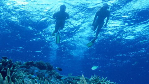 Air Whitsunday Day Tours - Hotel VIC 1