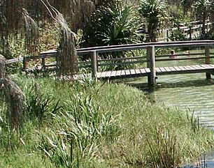 Australia Fraser Island Escape - Hotel VIC 1