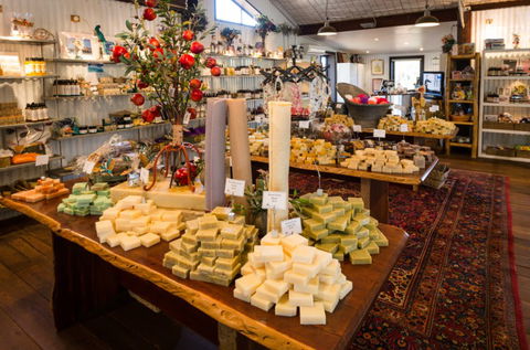 Vasse Virgin - Hotel VIC 3
