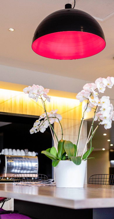 MRepublic Restaurant, Bar And Lounge - Hotel VIC 4