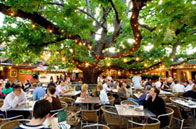 The Oaks - Hotel VIC 2