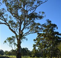 Ryde-Parramatta Golf Club - Hotel VIC