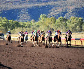 Alice Springs Turf Club - Hotel VIC 6