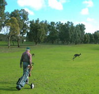 Coffin Bay Golf Club - Hotel VIC