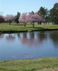RMC Golf Club - Hotel VIC 0